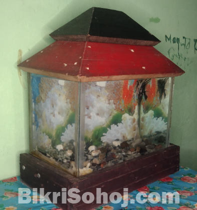 Fish Aquarium (12×8×8)